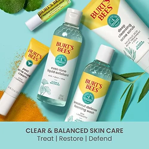 Burt's Bees Clear & Balanced Skin Balancing Gel Cream 1.8 oz.