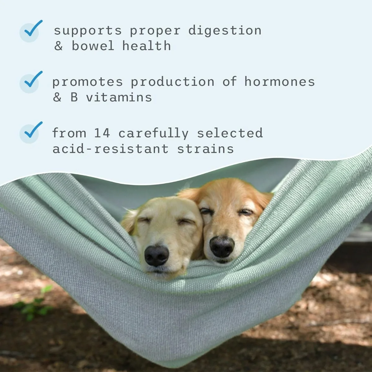 Dr. Mercola Bark & Whiskers Complete Probiotics for Dogs & Cats, 3.17 oz (90 g)