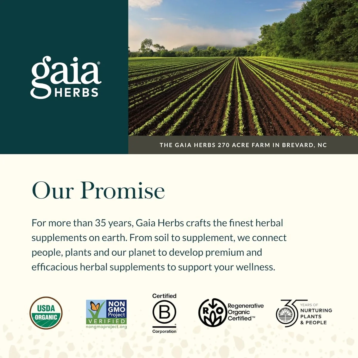 Gaia Herbs, Quick Defense®, 20 Vegan Liquid Phyto-Caps®