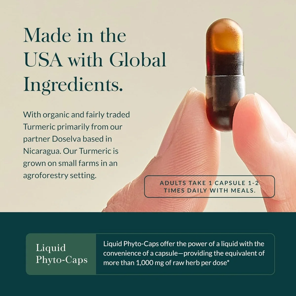 Gaia Herbs, Turmeric Supreme®, 120 Liquid Phyto-Caps