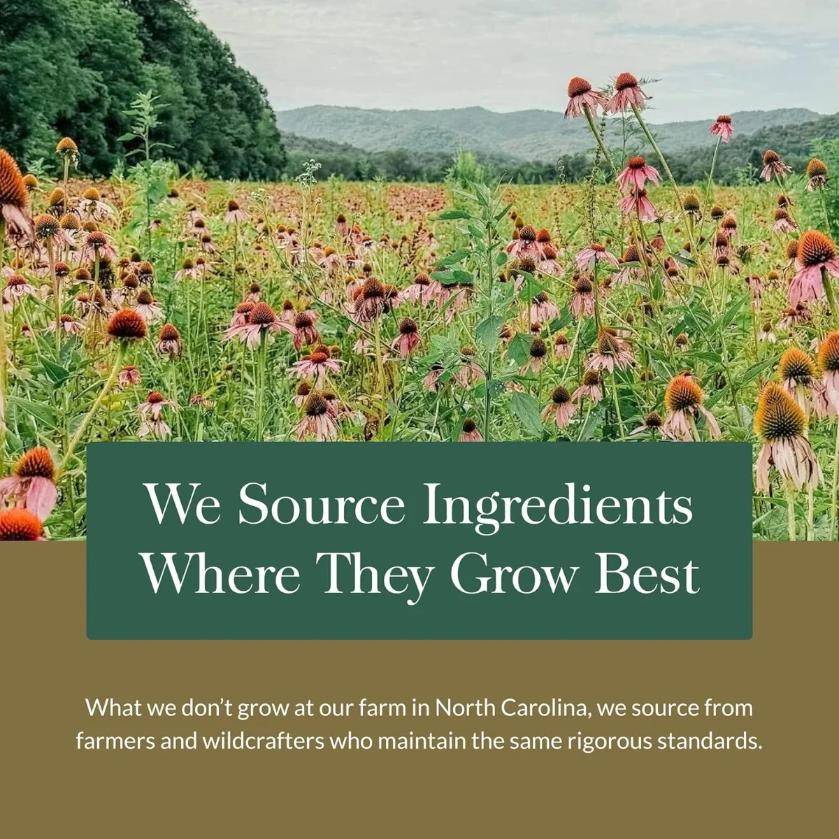 Gaia Herbs, Turmeric Supreme®, 120 Liquid Phyto-Caps