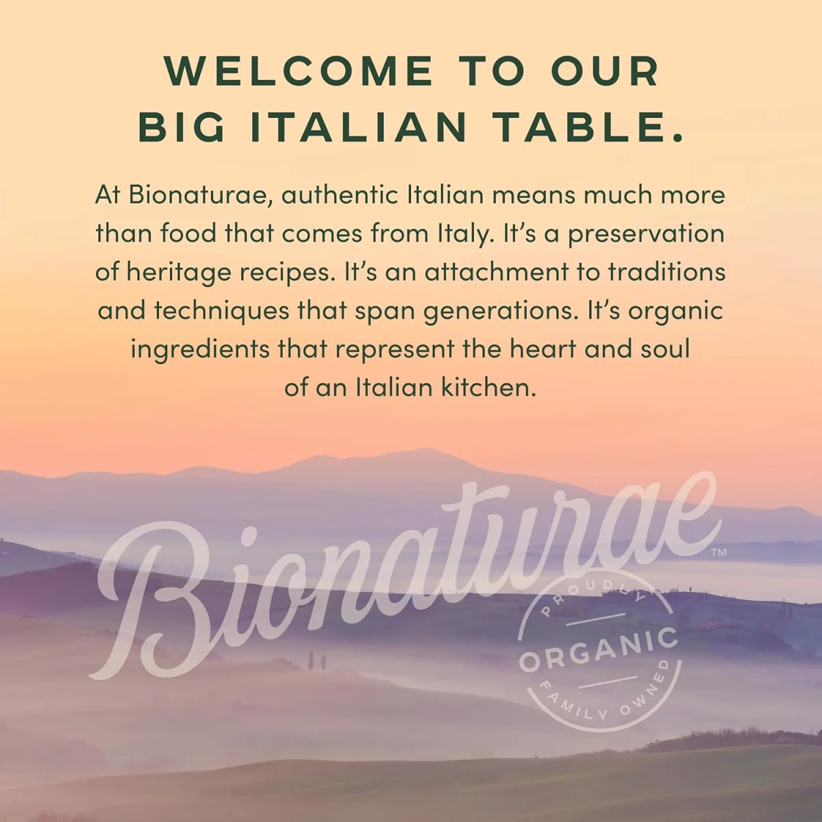 Bionaturae Organic Gluten Free Rice & Lentil Fusilli Pasta - 12 oz