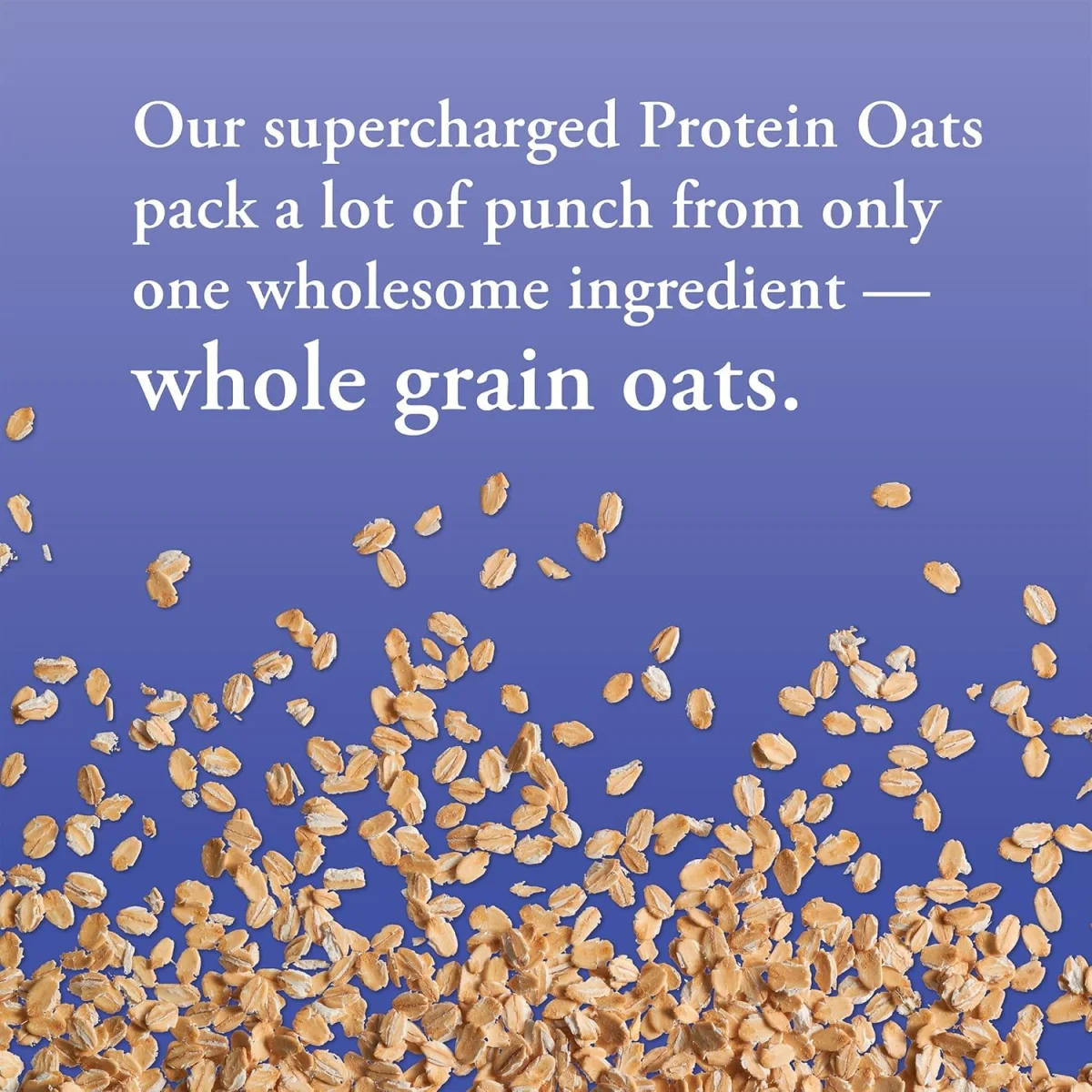 Bob's Red Mill Gluten Free Organic Protein Oats - 32 oz