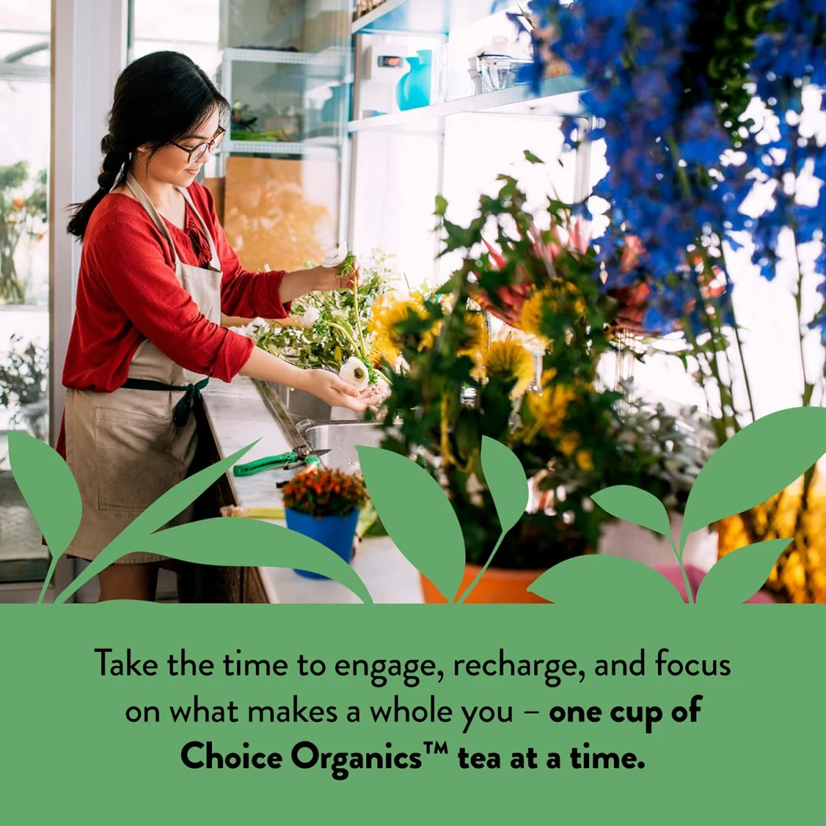 Choice Organics Japanese Green Tea - 16 Tea Bags