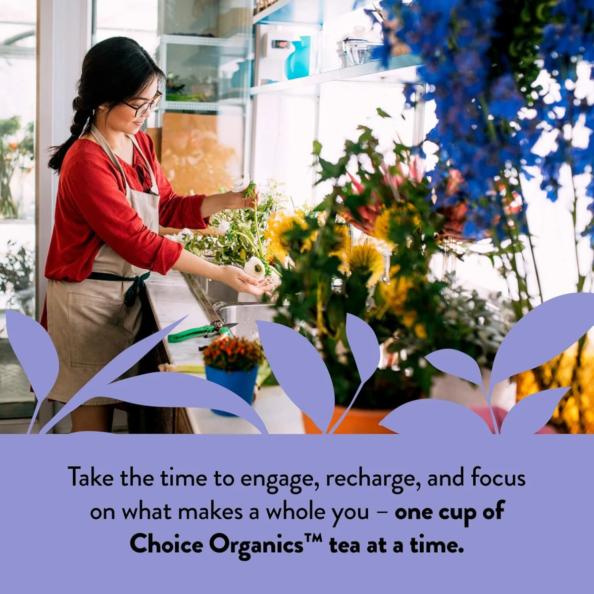 Choice Organics Earl Grey Black Tea - 16 Tea Bags