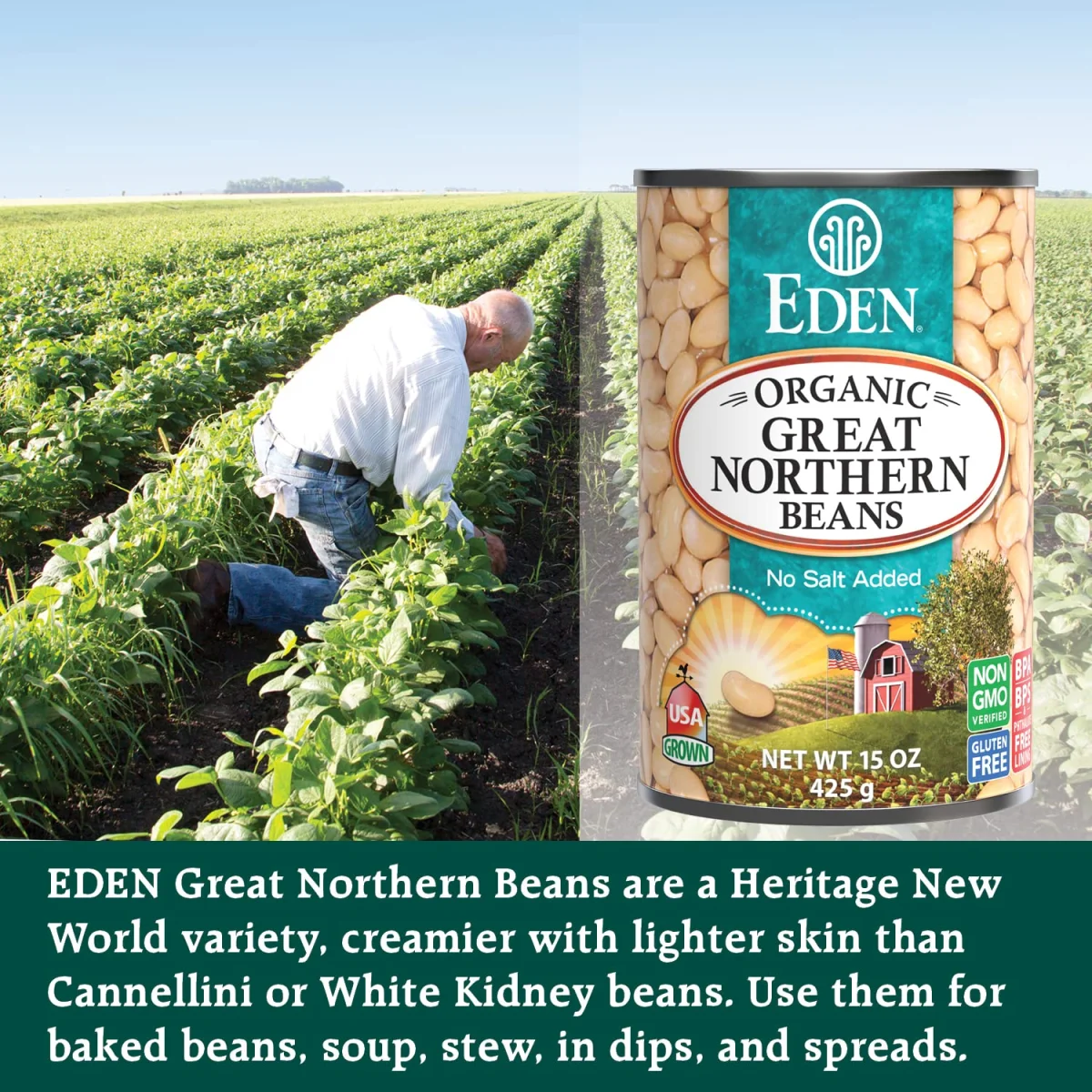 Eden Organic Great Northern Beans - 15 oz