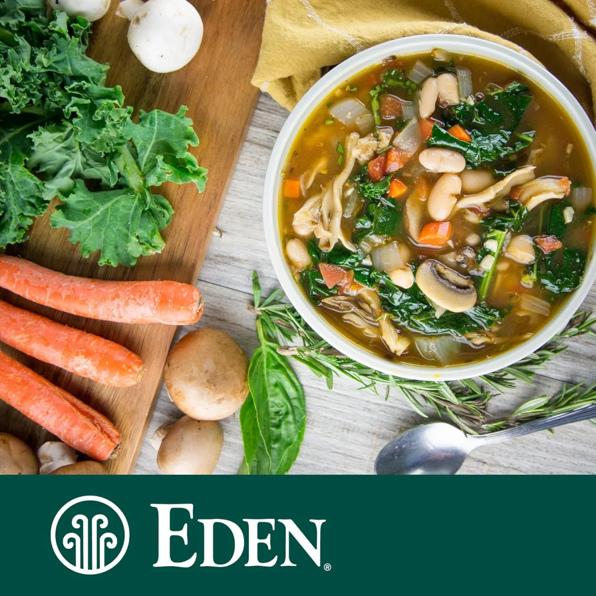 Eden Organic Great Northern Beans - 15 oz