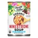 Health Valley Organic No Salt Added Minestrone Soup - 15 oz - Image 1
