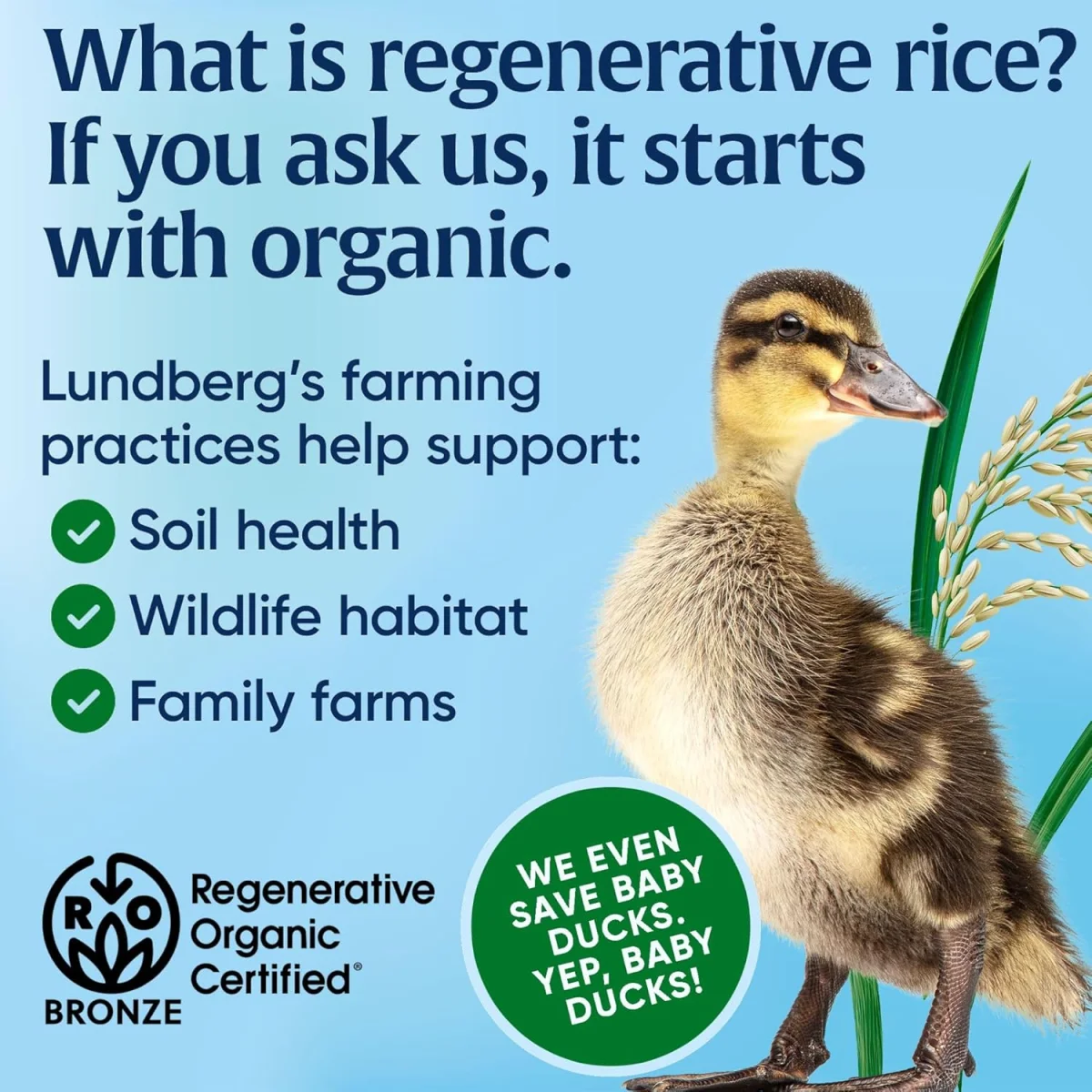 Lundberg Organic Thin Stackers Rice Cakes, Red Rice & Quinoa - 5.9 oz