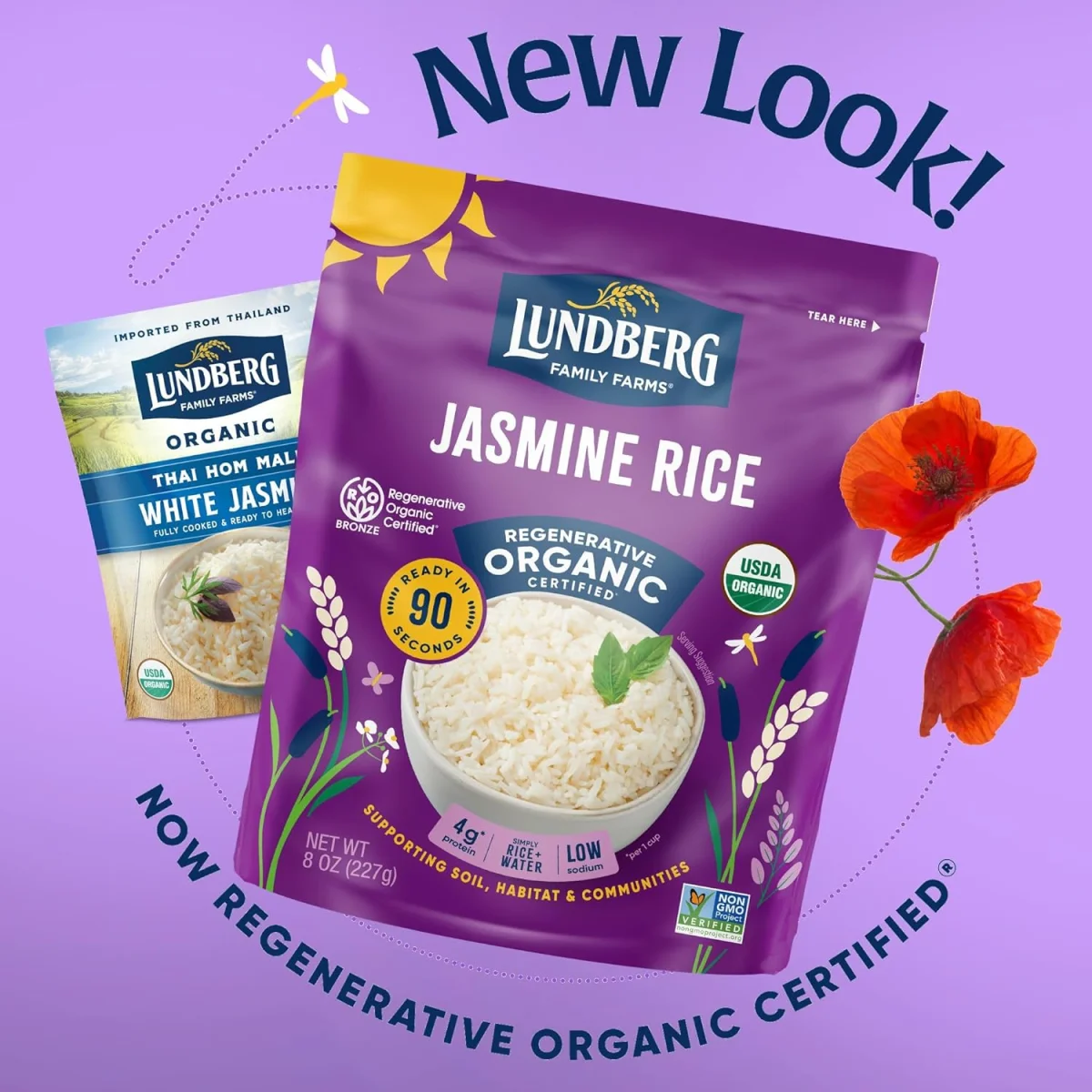 Lundberg Organic White Jasmine Rice, Fully Cooked & Ready to Heat