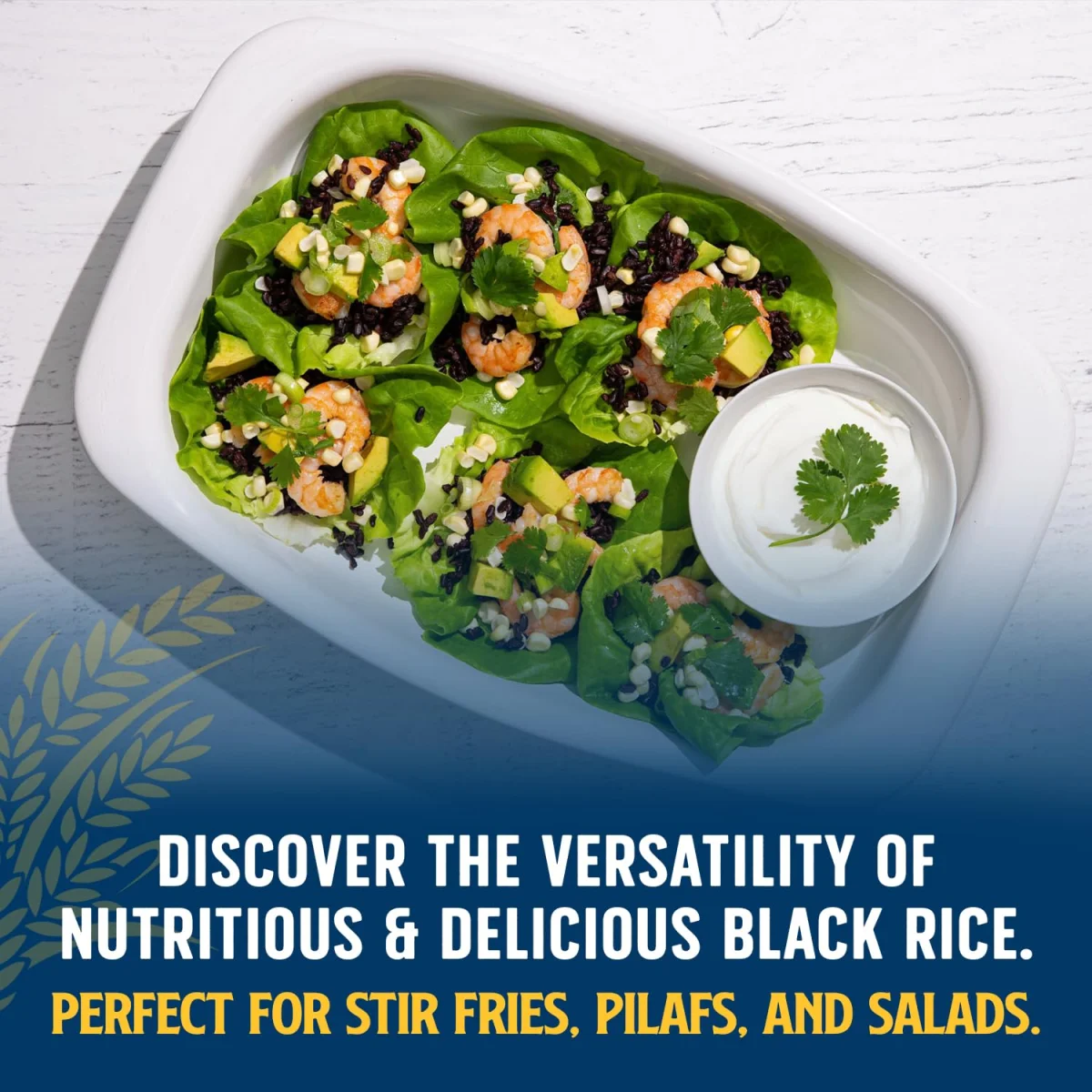 Lundberg Organic Black Pearl Rice - 16 oz