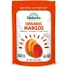 Natierra Organic Freeze Dried Mangos - Image 1