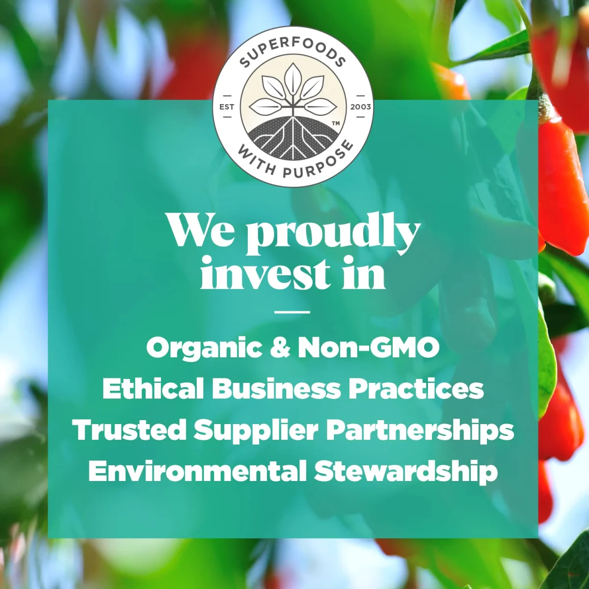 Navitas Organics Goji Berries - 8 oz