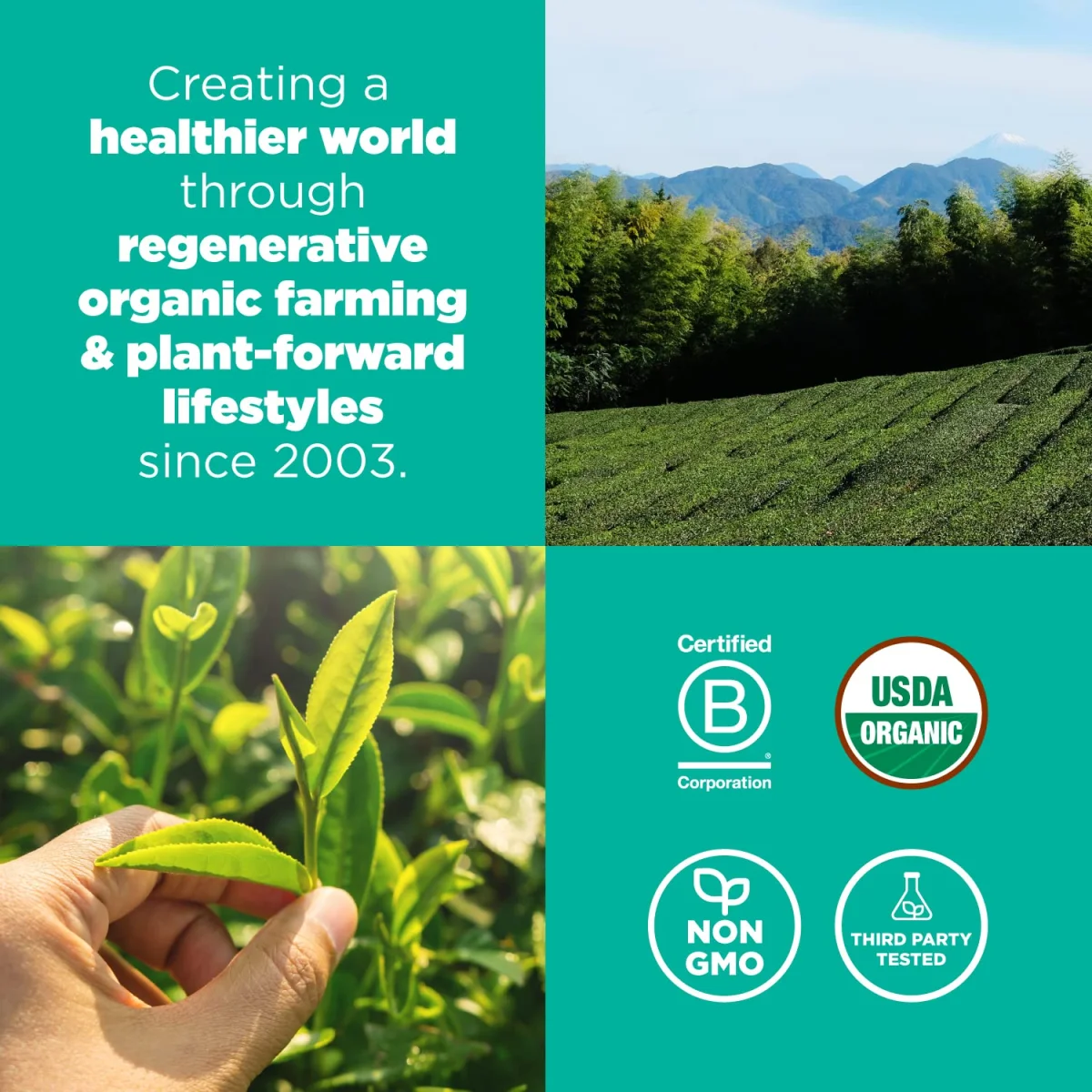 Navitas Organics Matcha Green Tea Powder - 3 oz