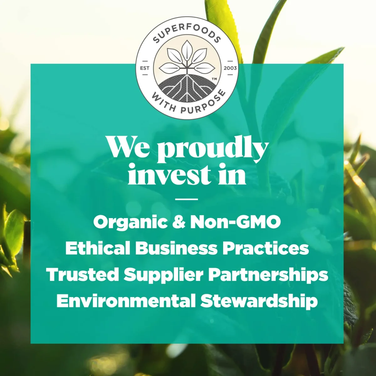 Navitas Organics Matcha Green Tea Powder - 3 oz