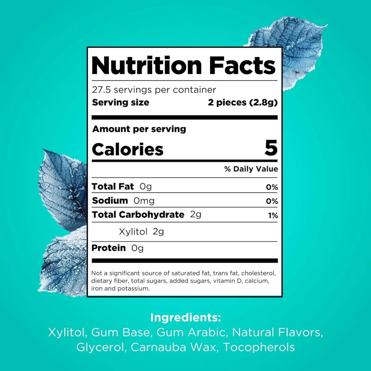 Pur Company Sugar Free Wintergreen Gum - 55 Pieces