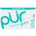 PUR Gum Wintergreen Chewing Gum - 9 Pieces - Image 1