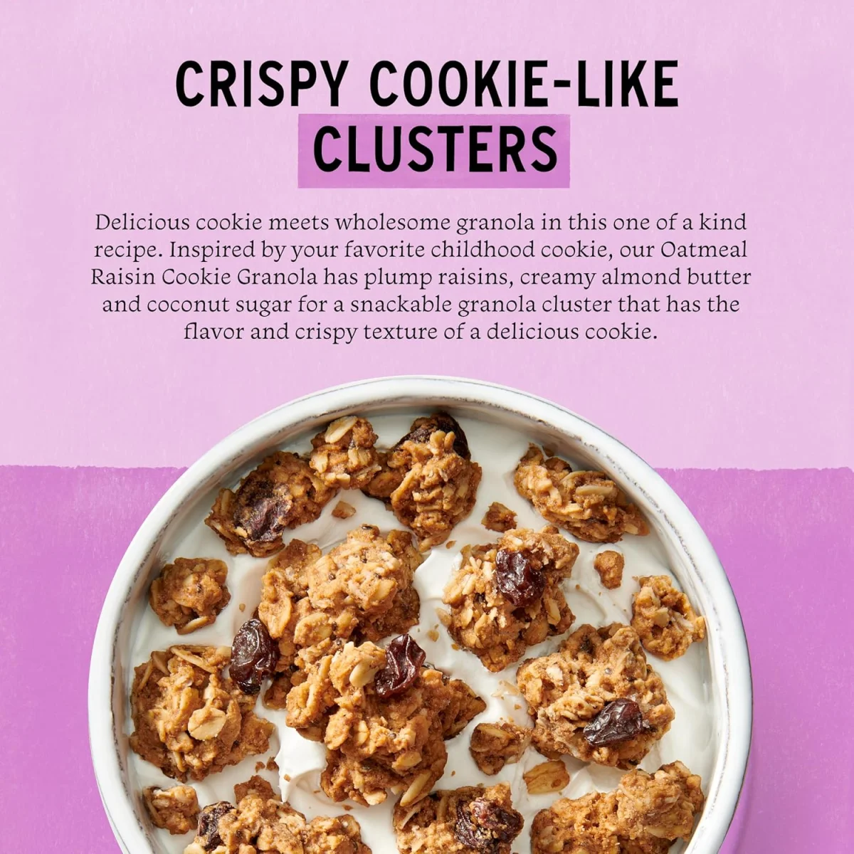 Purely Elizabeth Gluten Free Vegan Cookie Granola, Oatmeal Raisin - 11 oz