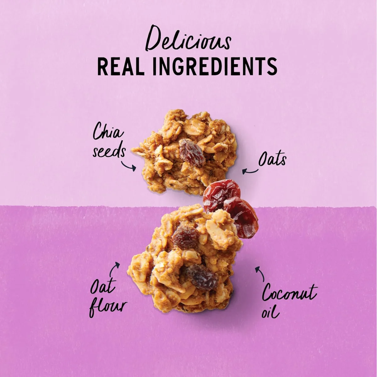 Purely Elizabeth Gluten Free Vegan Cookie Granola, Oatmeal Raisin - 11 oz