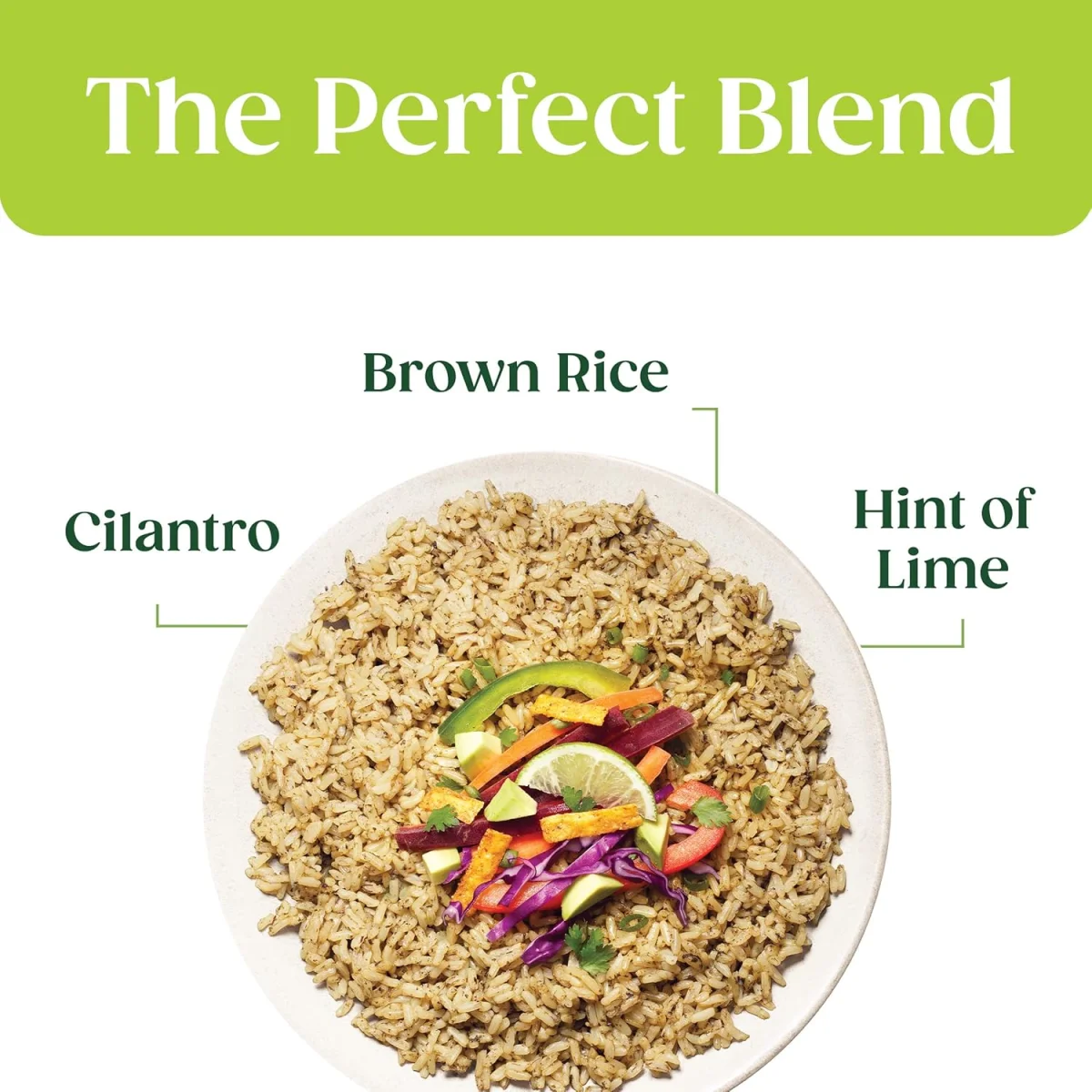 Seeds of Change Organic Brown Jasmine Rice, Cilantro Lime - 8.5 oz