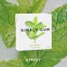 Simply Chewing Gum, Spearmint - 15 Pieces - Image 4