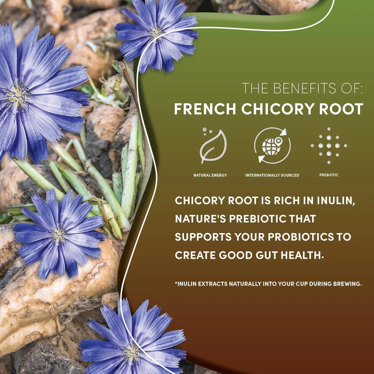 Teeccino Chicory Herbal Coffee Alternative, Organic Mediterranean Blend French Roast