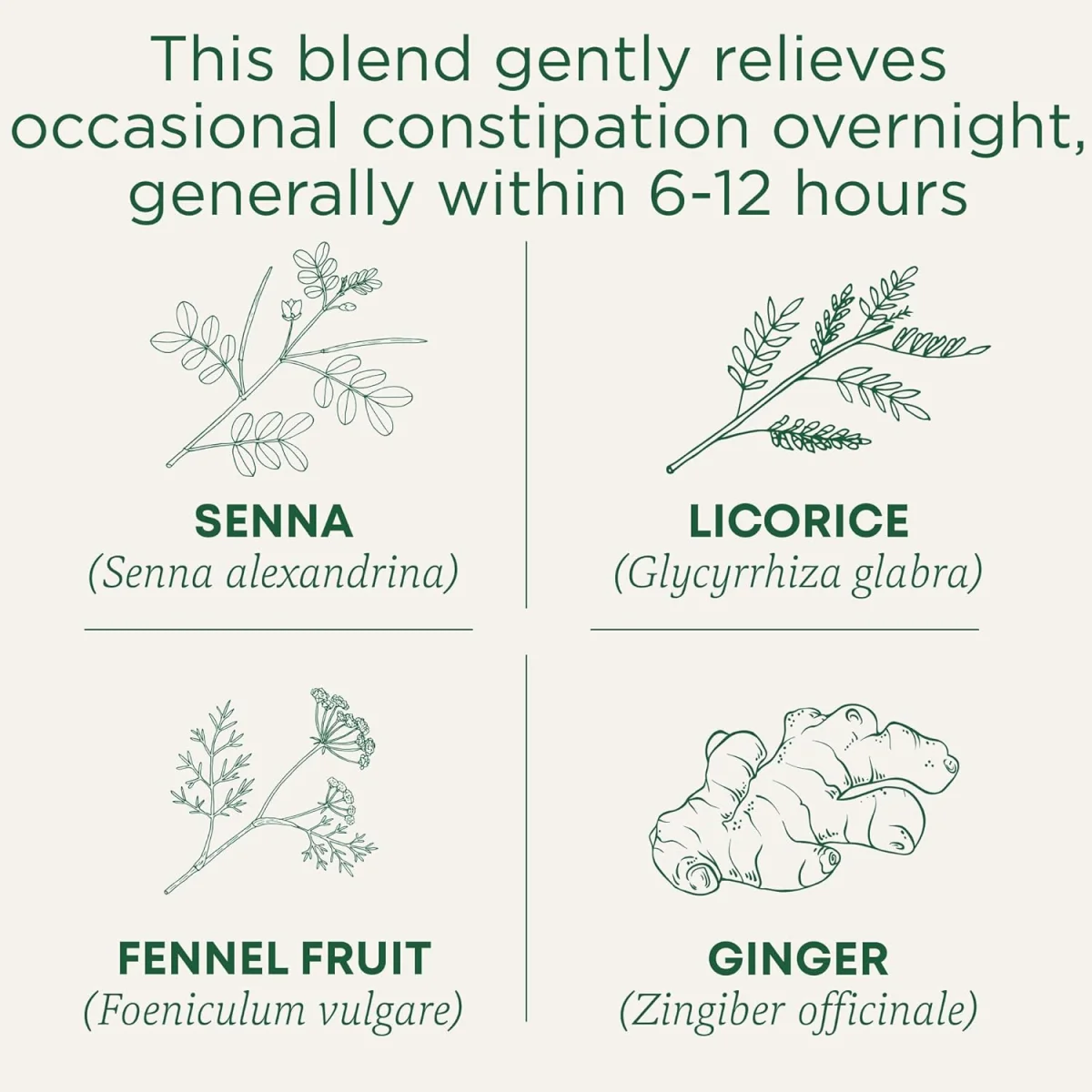 Traditional Medicinals Organic Smooth Move Herbal Tea - 16 Tea Bags