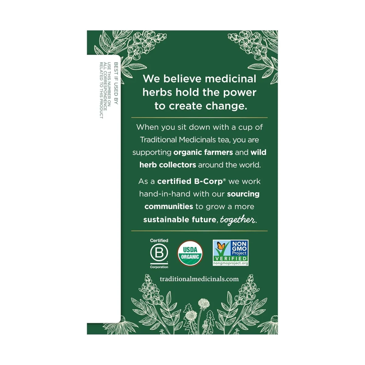 Traditional Medicinals Organic Ginger Herbal Tea - 16 Tea Bags