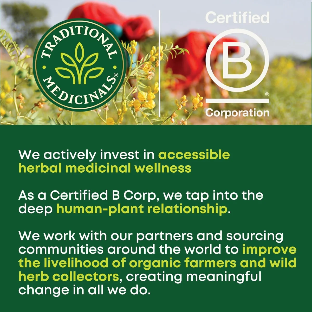 Traditional Medicinals Organic Roasted Dandelion Root Herbal Tea - 16 Tea Bags