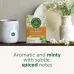 Traditional Medicinals Organic Gas Relief Herbal Tea - 16 Tea Bags - Image 2