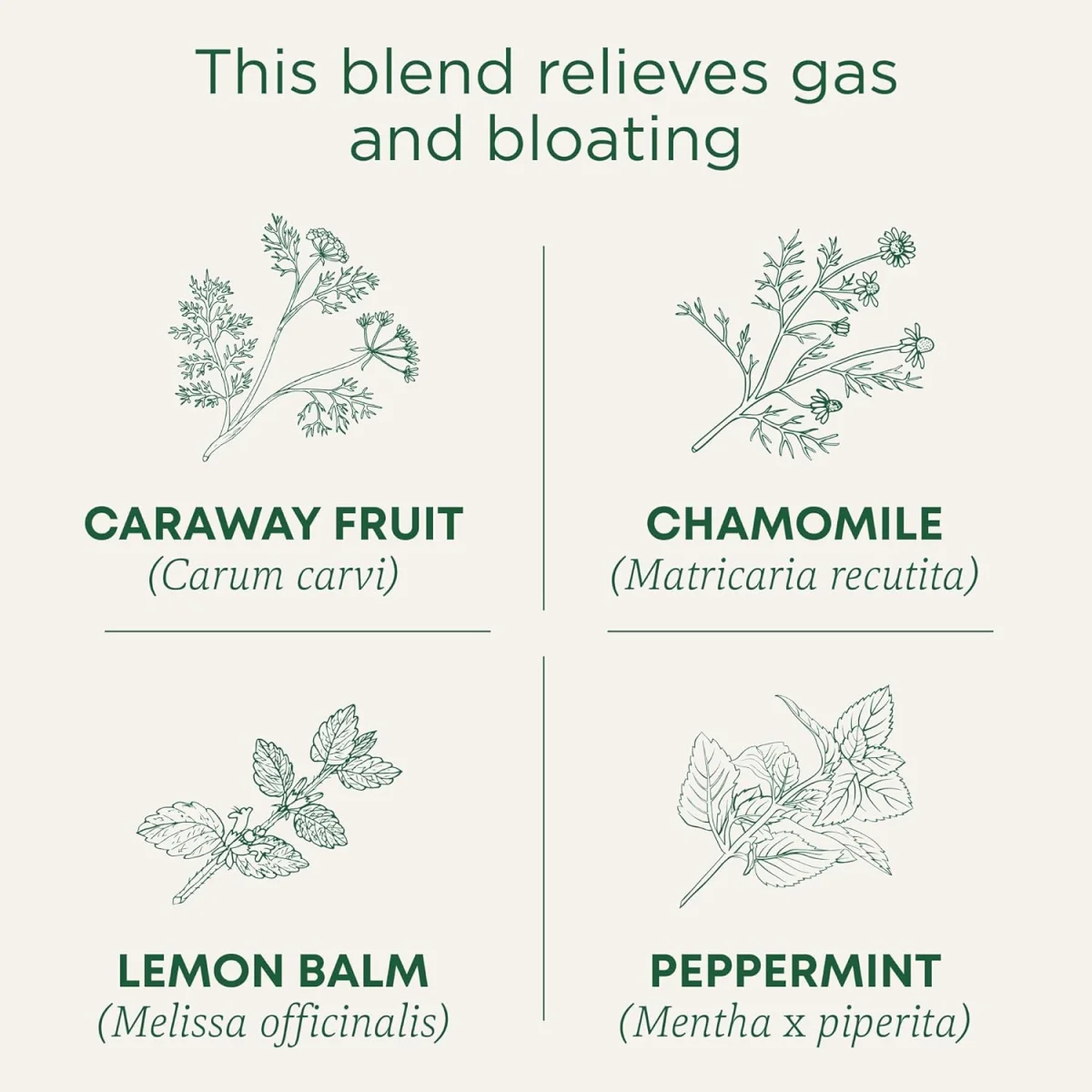 Traditional Medicinals Organic Gas Relief Herbal Tea - 16 Tea Bags