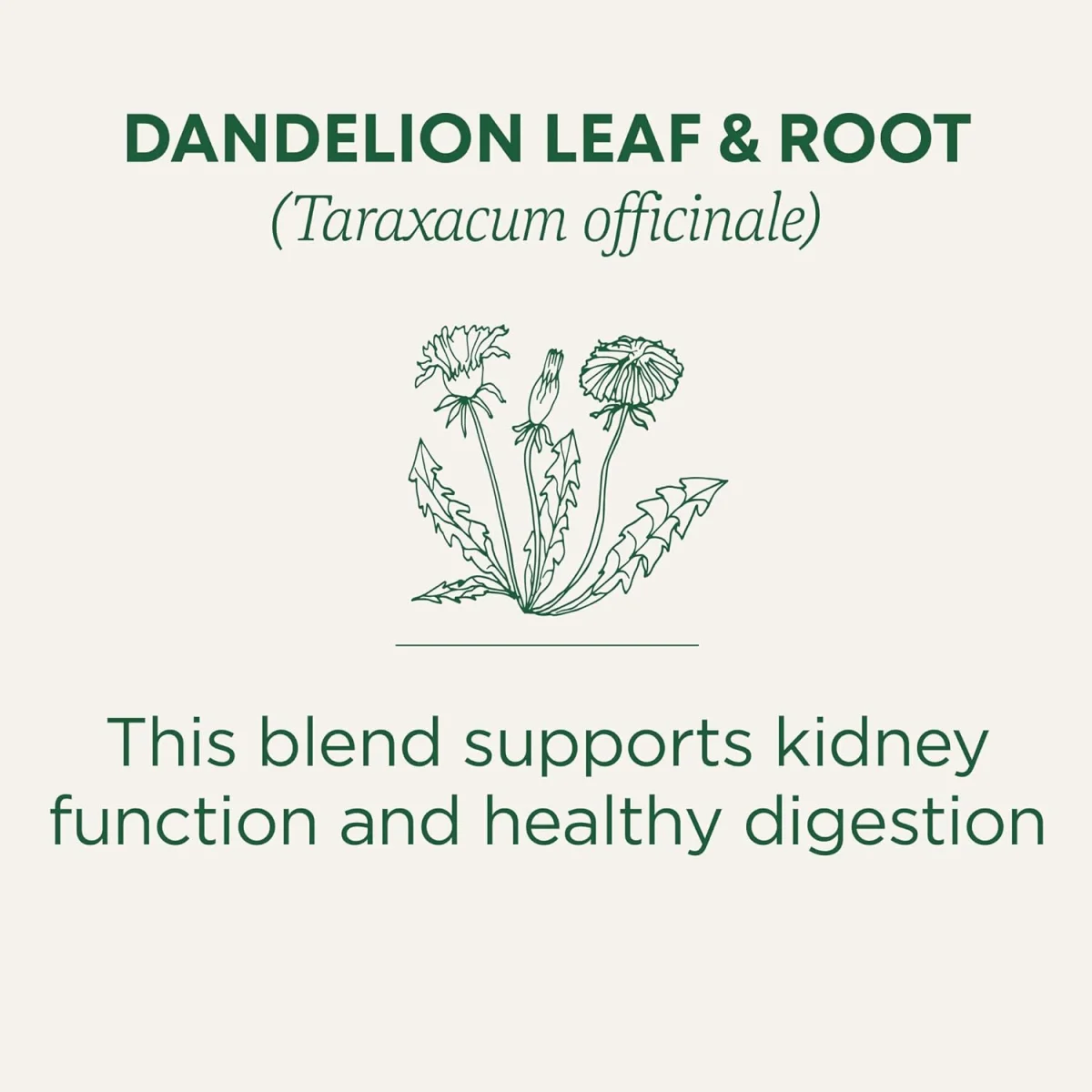 Traditional Medicinals Organic Dandelion Leaf & Root Herbal Tea - 16 Tea Bags
