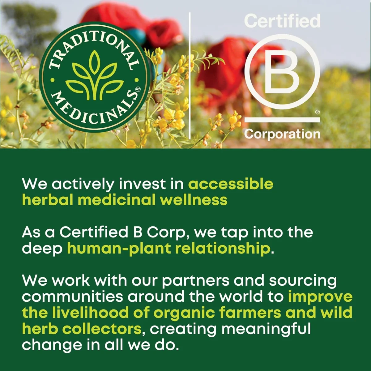 Traditional Medicinals Organic Turmeric & Ginger Herbal Tea - 16 Tea Bags