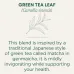 Traditional Medicinals Green Tea Matcha with Toasted Rice - 16 Tea Bags - Image 2