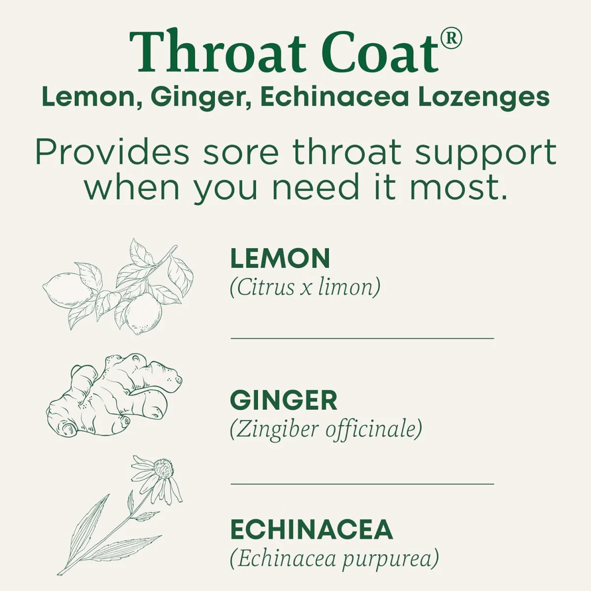 Traditional Medicinals Organic Throat Coat Lozenges, Lemon Ginger Echinacea