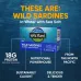 Wild Planet Wild Sardines in Water with Sea Salt - 4.4 oz - Image 3