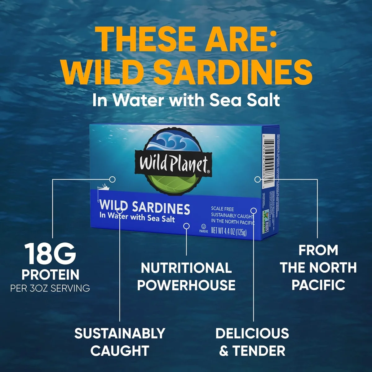 Wild Planet Wild Sardines in Water with Sea Salt - 4.4 oz