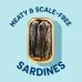 Wild Planet Wild Sardines in Water with Sea Salt - 4.4 oz - Image 4