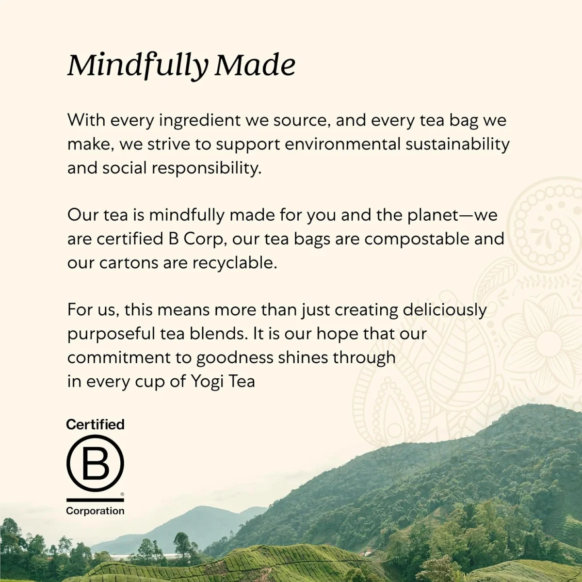 Yogi Tea Organic Pure Green Tea - 16 Tea Bags